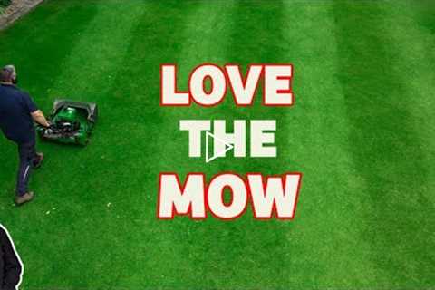 Cutting the grass (15mm) Oddly satisfying asmr