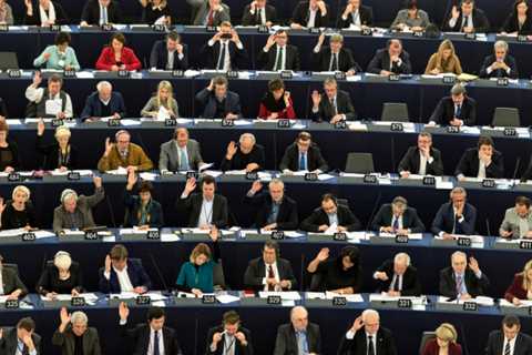 European elections: A beginner's guide for voting