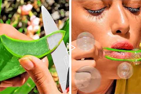 Satisfying Aloe Vera Hacks || Amazing Benefits Of Aloe Vera