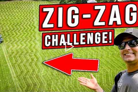 CHALLENGE ACCEPTED! (ZIG ZAG Stripes On Steroids!)