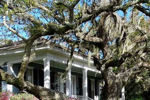 The most expensive neighborhood in every state