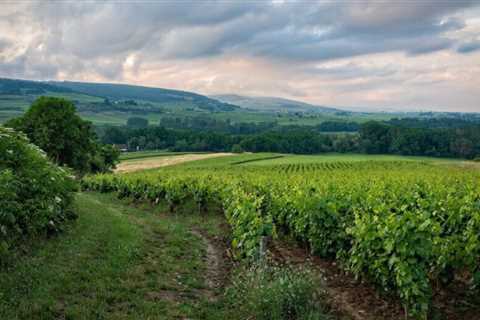Enjoy the Most Remarkable Wine Regions on a French Canal Barge Tour