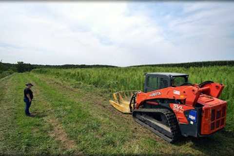 My New Favorite Mower