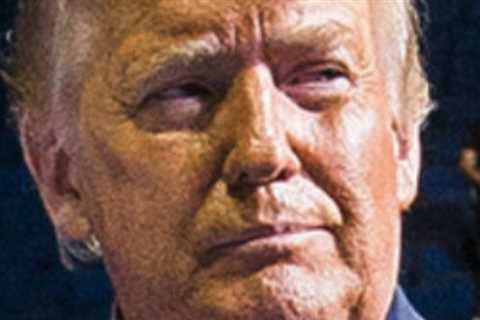 Why the G.O.P.