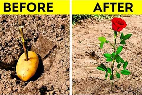 Surprising Growing Plant Hacks For Your Inner Gardener