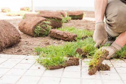 How to budget landscaping costs for a new home