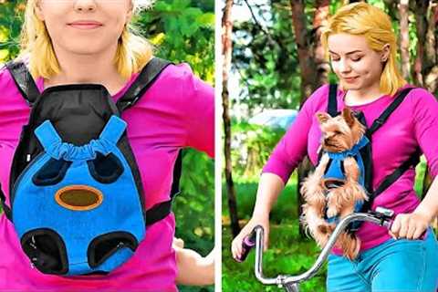 Cute And Smart Pet Gadgets And Hacks