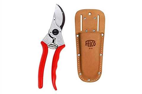 Five of the Best Tree Trimming Tools
