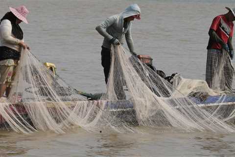 The key to restoring biodiversity around the globe is rivers