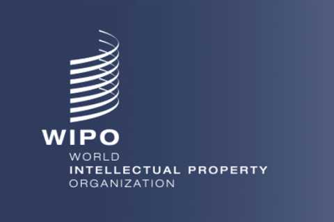 How international partnerships can help increase the effectiveness of Saudi Intellectual Property..