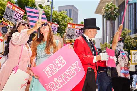 Bipartisan plans are being developed to "Free Britney" and other people who request a judge to..