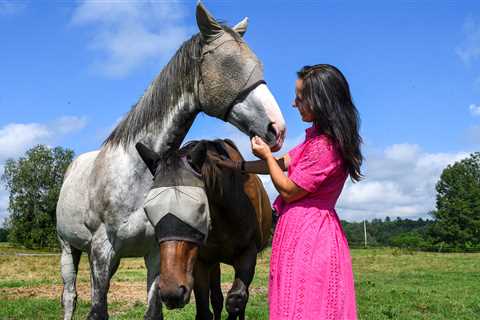 Thoroughbreds are not left behind by a dedicated horsewoman