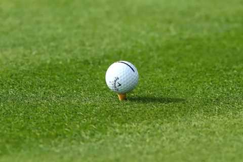 Authorities say that a suspect was arrested for the fatal shooting of three men at a Georgia golf..