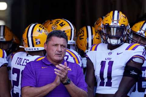 Some Very Difficult days at L.S.U. since a National Title