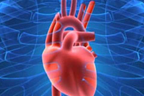 Risk of sudden cardiac death may be affected by diet