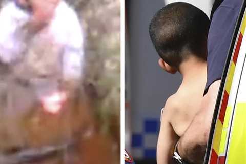 3-Year-Old Missing in Australian Bushland for Three Days Found Alive