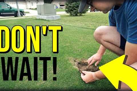 If You See THIS...ACT NOW
