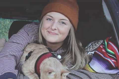 Tips and Tricks for Road Tripping with Cats