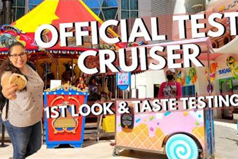 DAILY LIFE ONBOARD A TEST CRUISE ON OASIS OF THE SEAS (what it's really like)