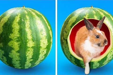 TOP HACKS AND GADGETS FOR BEST PET OWNERS