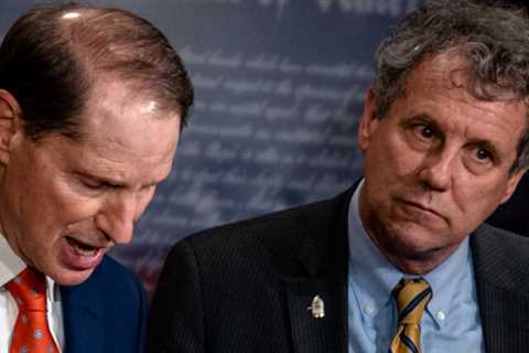 Democrats Plan to Tax Stock Buybacks and Partnerships in Order to Pay for the Agenda