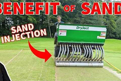 Why do they use sand on golf greens | Can sand be used on a lawn