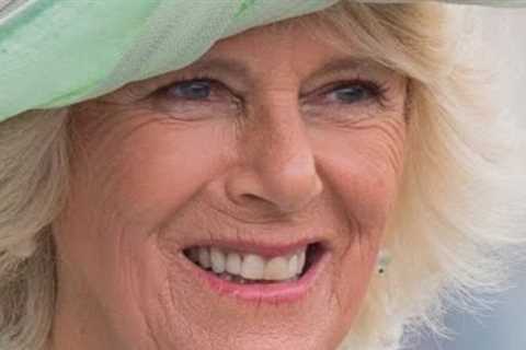 Can Camilla Forgive Harry and Meghan?