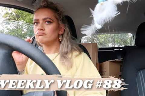 WEEKYLY VLOG #88 | WELL THIS IS TERRIBLE TIMING.. | EmmasRectangle