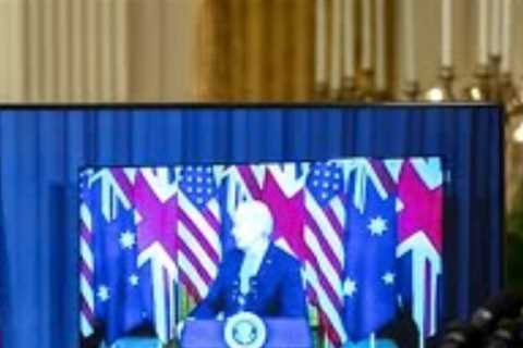 Biden thanks That Fellow Down Below' during Virtual Press Conference