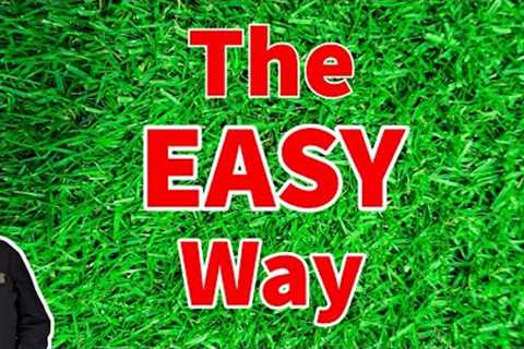 How to get a THICK lawn from start to finish | Everything you need to do