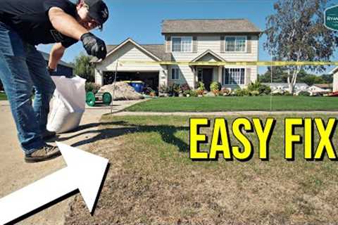 Seeding My New Lawn AGAIN? Why?? // Overseeding Tips On New Lawns