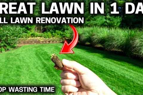 EASY FALL LAWN Renovation - Overseeding Kicked up a Notch!