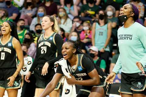 Star Rookies and Veterans Help Liberty Get to the Playoffs in Rocky Season