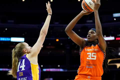 W.N.B.A. Playoff Preview: The Sun Are Ready To End the Storm's Reign
