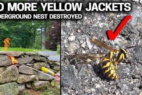 Get Rid of Yellow Jackets in Walls &amp; Ground - Cheap &amp; Easy