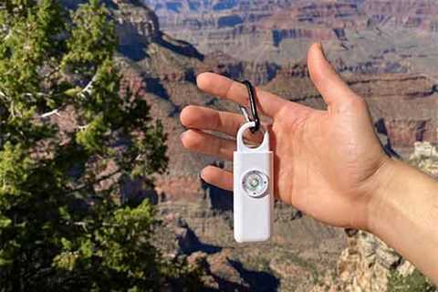 Power in the Palm of Your Hand