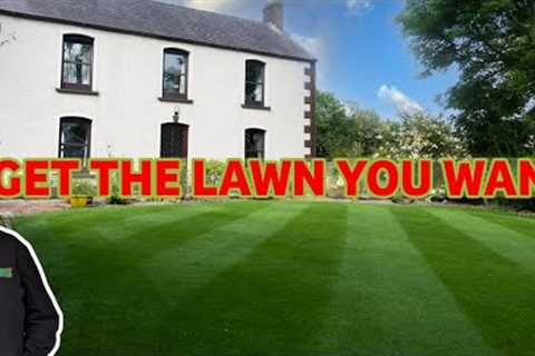 If you want a good lawn next year follow these tips