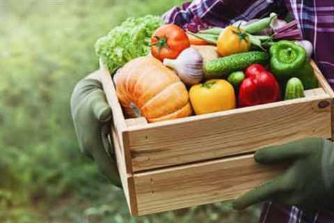Take Your First Step to Freedom With This Easy, Grow-It-Yourself Approach to Food