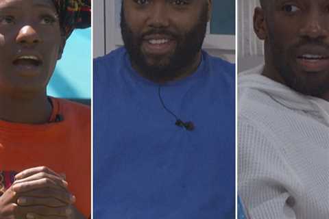 Big Brother Blowout: Final 3 Make Their Cases for Victory -- Plus, We Rank Every Houseguest