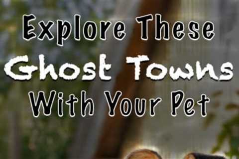 Explore These Pet Friendly Ghost Towns With Your Dog