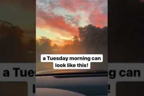 I feel Tuesdays.