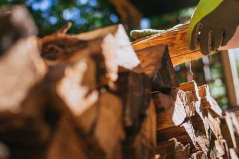 How long should you dry firewood?