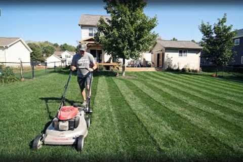 First Time STRIPING Tall Fescue