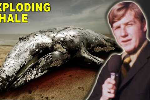 The Time They Blew Up a Whale On the Oregon Coast