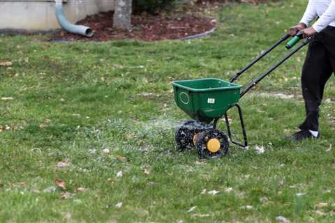 Tips for Fall Planting of Grass Seed
