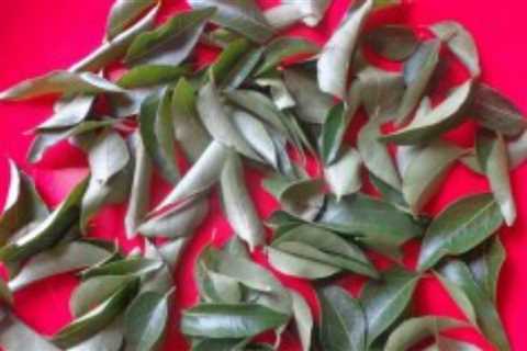 Home Remedy To Manage High Blood Pressure