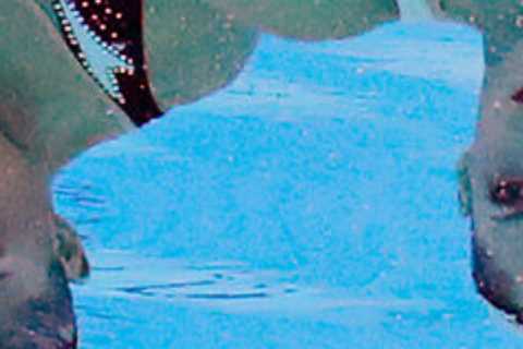 The concussion problem is well known by the artistic swimming community.