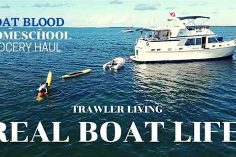 REAL Boat Life || The Boat is Bleeding || Grocery Haul by Highfield and Homeschool ||