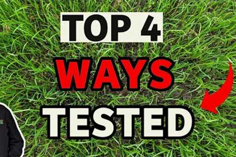Growing NEW GRASS from seed | what works BEST (Part 1)