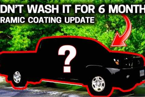Do Ceramic Coatings REALLY WORK? 6 Month Update with No Washes!